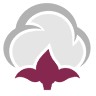 Fibre Processing Corporation