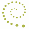 FIDDLEHEAD BUSINESS SERVICES