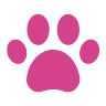 Veterinaria Fido's Vet