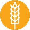 Fields Coffee