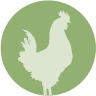 Fiesta Farms