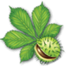 Gospoda Pod Kasztanem
