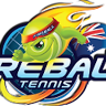 Fireball Tennis Academy