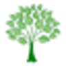 First Cremation Society
