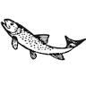 Martin Rau, Fischzucht & Fischhandlung