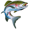 Fish On! Motel