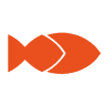 Fish srl