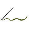 Fishtrap Inc
