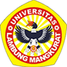 Medical Faculty ULM