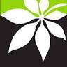 Fleuriste Vert Design