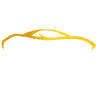 Flexi Car