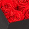 flobox SCS