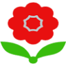 Roses & Daisies Ltd