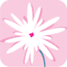 Floral Art