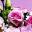 Florales Bernhard Sager