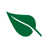 Flora Roseira Comercial