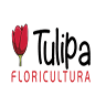 Floricultura Tulipa