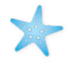 Florida Star Vacations