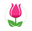 Floristeria Collette