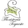 Floristería Tegueste - Flores a domicilio para bodas y eventos en Tegueste, Santa Cruz de Tenerife