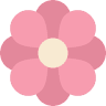 Floristería Florely
