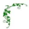 FLORISTERIA HIEDRA