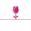 Floristería Soledad