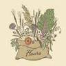 Flours Pasta & Bakeshop