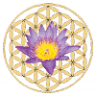 Nature's Flowers of Life
