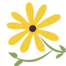 Flower Valley Veterinary Clinic