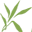 Flower Works, LLC