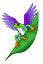 Flying Frog Studio