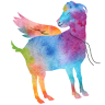 Flying Goat Farm
