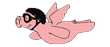 Flying Pig Eyewear