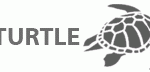 Flying Turtle Cast Concrete