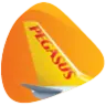 Pegasus airlines