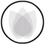 Fonon Web