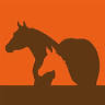 Forco Colorado