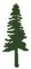 Forest Upper Cervical Chiropractic Centers | Dr. Steven Forest, DC