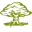 Forest School Brasov