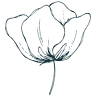 Forever in Bloom Event Design & Floral Decor
