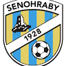 TJ Sokol Senohraby