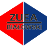 ZUEA Białowski - Fotowoltaika i Montaż Paneli Fotowoltaicznych