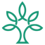 Sally McCutcheon Naturopath & Remedial Massage