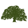 Four Seasons Tree Service and Landscaping