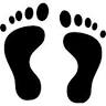 Fox River Foot & Ankle Center