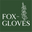 Foxgloves Direct