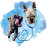 Franco Vet - Cabinet Veterinar Craiova