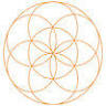 Free Flow Ayurveda