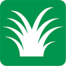 Free Spray Lawn Care